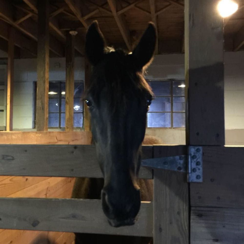 Meet your Posher, Star